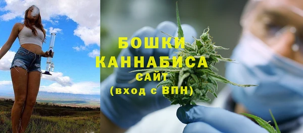 spice Гусиноозёрск