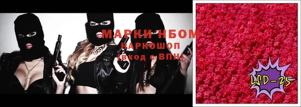 spice Гусиноозёрск