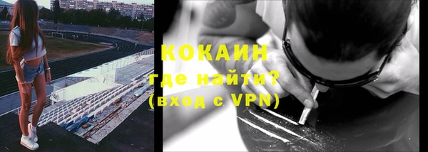 хмурый Гусь-Хрустальный