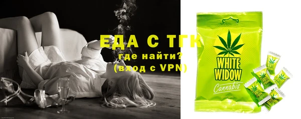 хмурый Гусь-Хрустальный