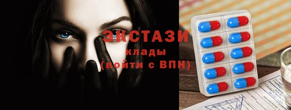 хмурый Гусь-Хрустальный