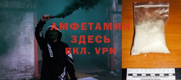 хмурый Гусь-Хрустальный