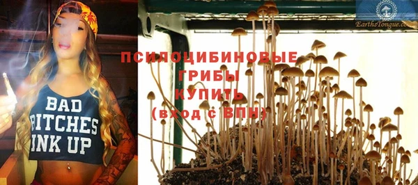 spice Гусиноозёрск