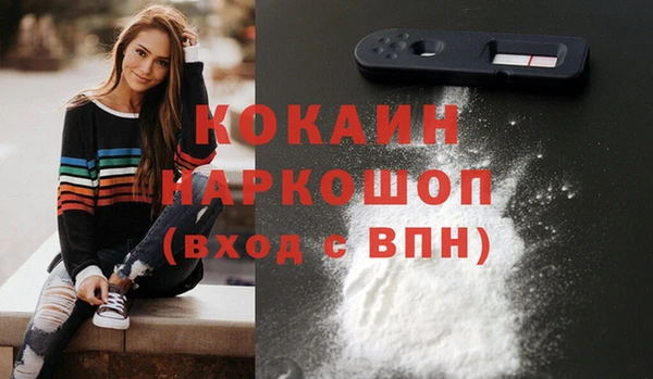 хмурый Гусь-Хрустальный