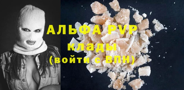 хмурый Гусь-Хрустальный
