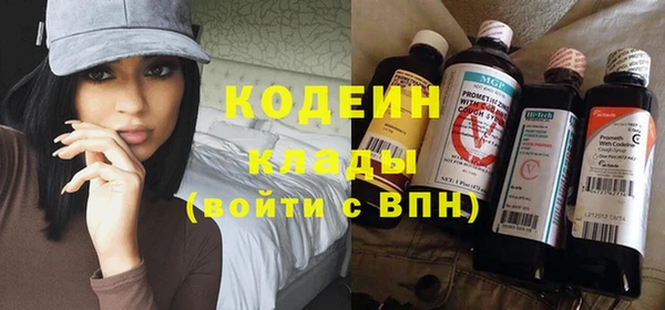 хмурый Гусь-Хрустальный