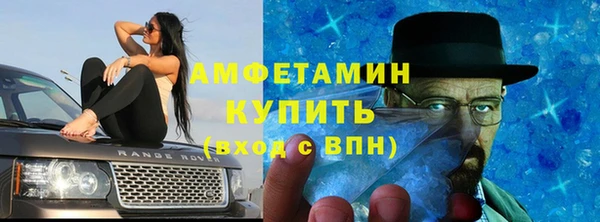 хмурый Гусь-Хрустальный