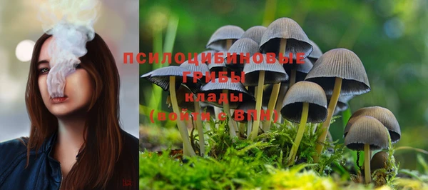 spice Гусиноозёрск